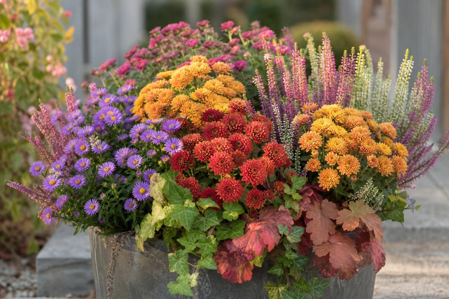 découvrez comment identifier, entretenir et cultiver les fleurs de septembre grâce à nos astuces pratiques pour un jardin éclatant en automne.