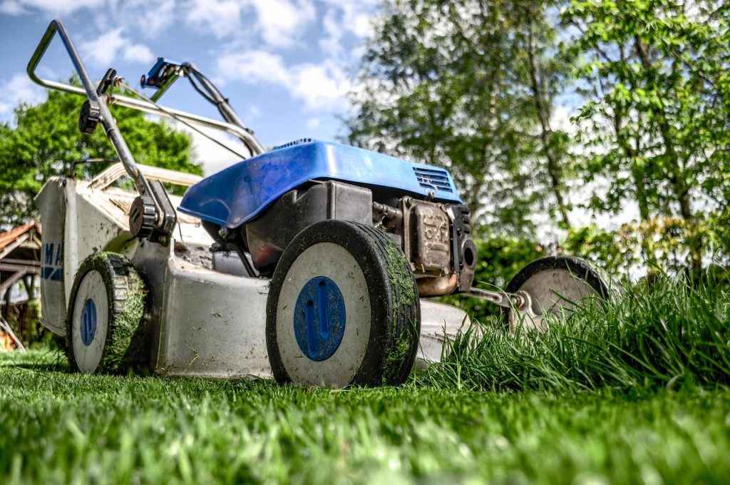 Choisir une entreprise d'entretien de jardin : quatre profils de prestataires comparés sur l'agrément