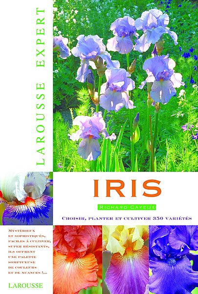 au travers de la collection Cayeux