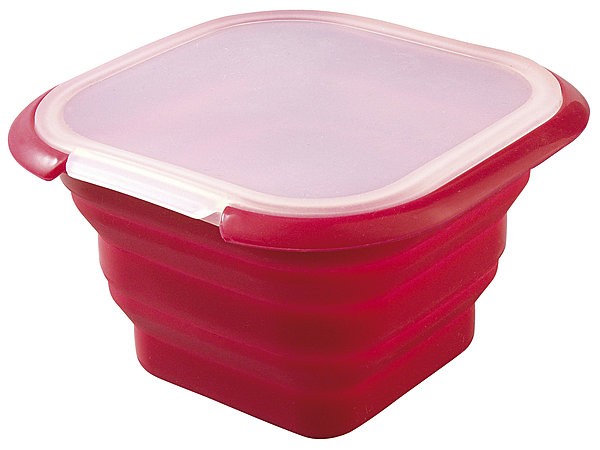 La carpe, une drôle de boite télescopique