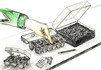 mini-serre improvisã©e