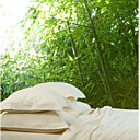 4 - Elvé - Origine bambou