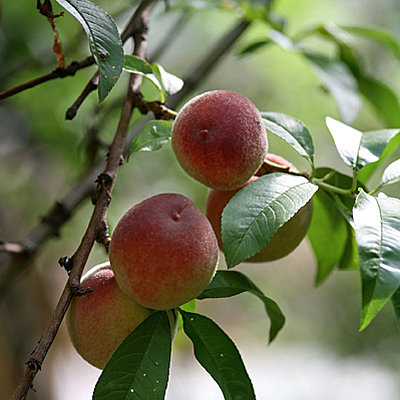 Gardez la pêche... Gardez la pêche...