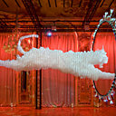 Le Tigre Rouge, une œuvre d'art unique Le Tigre Rouge, une œuvre d'art unique