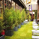 Jardin du BHV Jardin du BHV