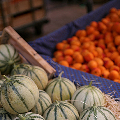 Melons de Cavaillons - photo www.Sabine-Leroux.com Melons de Cavaillons - photo www.Sabine-Leroux.com