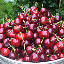 Moelleuse, sucrée, acidulée