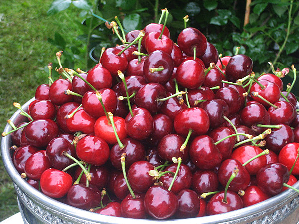 Moelleuse, sucrée, acidulée