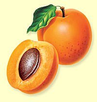 L'abricot version planche