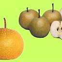 Pomme, poire, nashi ?