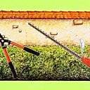 Taille haie à moteur thermique, électrique, ou simplement un taille haie manuel ?