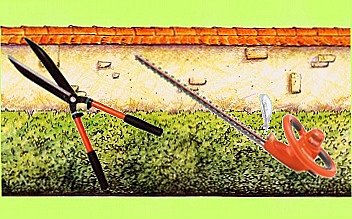 Taille haie à moteur thermique, électrique, ou simplement un taille haie manuel ?