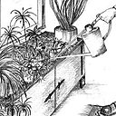 Comment apporter de l'humidité aux plantes d'intérieur en hiver ?