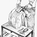 Enfermez votre plante avec son pot dans un grand sac plastique