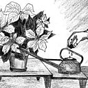 Au bon soin des poinsettias