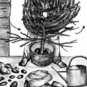 Faire tenir droit son sapin de Noël.