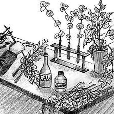 Un vieux truc qui marche à coup sûr.