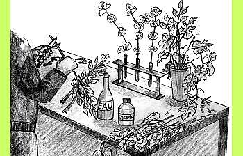 Un vieux truc qui marche à coup sûr.