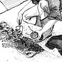 Il est important d'incliner les plantes de 30° par rapport au sol