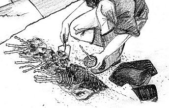 Il est important d'incliner les plantes de 30° par rapport au sol