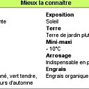 Pour réussir le raisin du balcon