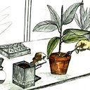 Tous les insectes détestent la caféine