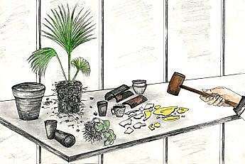 Rempotage économique des plantes d'intérieur