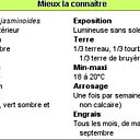 Tout savoir sur les Gardénias !