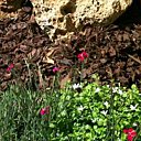 Les matériaux naturels enrichissent le sol en place en se décomposant lentement.