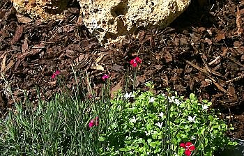 Les matériaux naturels enrichissent le sol en place en se décomposant lentement.