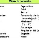 Mieux connaitre les lauriers-roses