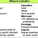 Tout savoir sur la laitue !