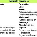 Tout savoir sur la bette en 1 clic !