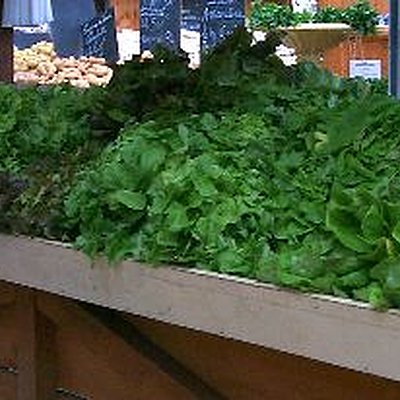 Verte et croquante, comment l'es tu ?