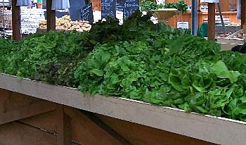 Verte et croquante, comment l'es tu ?