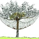 Pour savourer les premières prunes accrochez un filet à mailles fines.