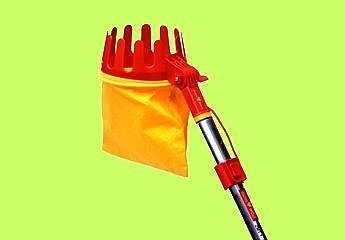 Un cueille-fruits avec un sac en tissu permettant de réceptionner le fruit sans l'abimer.