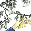 Fixez avec un lien armaturé sans serrer.