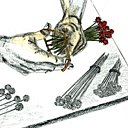 Bien séchées, bien conservées !