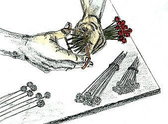 Bien séchées, bien conservées !