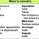 Mieux connaître les colchiques en 1 clic ! Mieux connaître les colchiques en 1 clic !