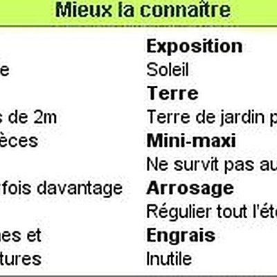 Mieux la connaître en 1 clic !