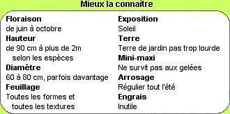 Mieux la connaître en 1 clic !