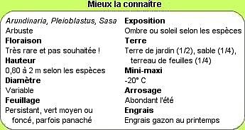 Tout savoir !