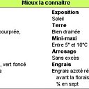 Tout savoir sur le citronnier en 1 clic !