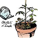 4- Remplis avec le même mélange de terreau et de compost jusqu'à 2 cm du bord du pot.