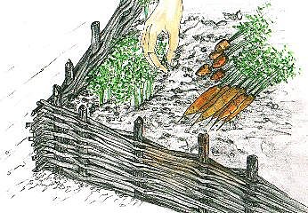 Cultivez vos carottes et vos potirons en plates-bandes surélevées : simple et joli comme un jardin de curé.