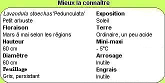 Mieux la connaitre