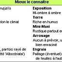 Tout savoir sur le muguet !