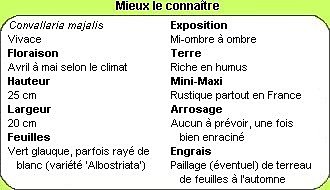 Tout savoir sur le muguet !